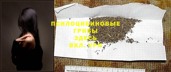 гидропоника Пестово