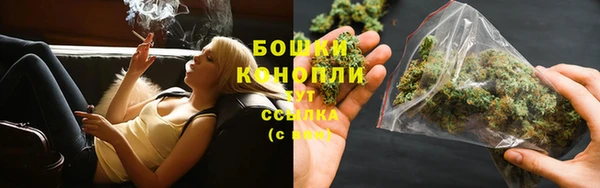 шишки Пересвет