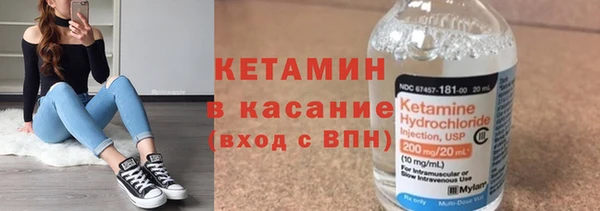 шишки Пересвет