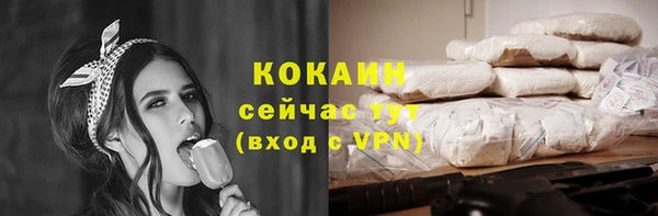 шишки Пересвет