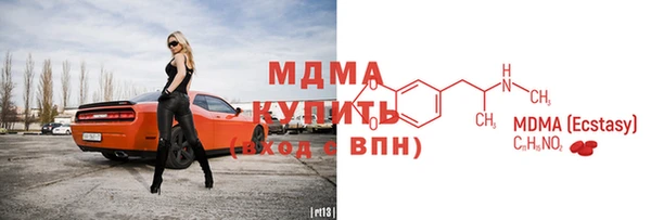шишки Пересвет