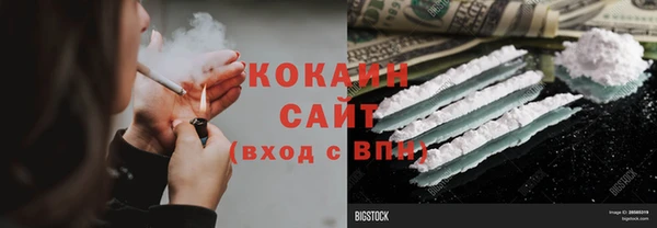 шишки Пересвет