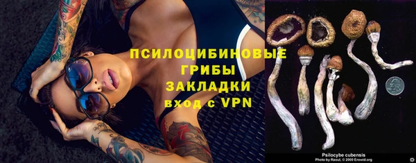 шишки Пересвет