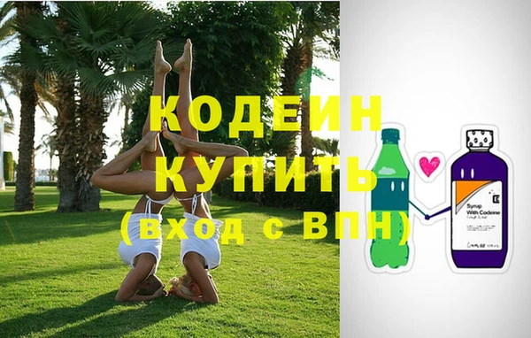 ГАЛЛЮЦИНОГЕННЫЕ ГРИБЫ Осинники