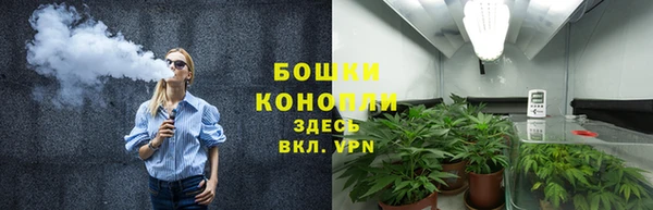 крисы Переславль-Залесский