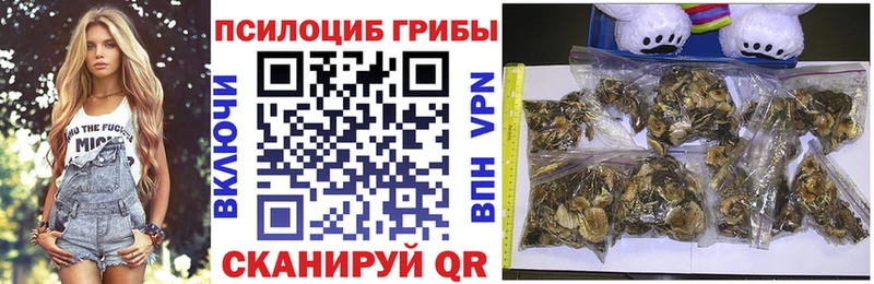закладки Щигры Галлюциногенные грибы мицелий